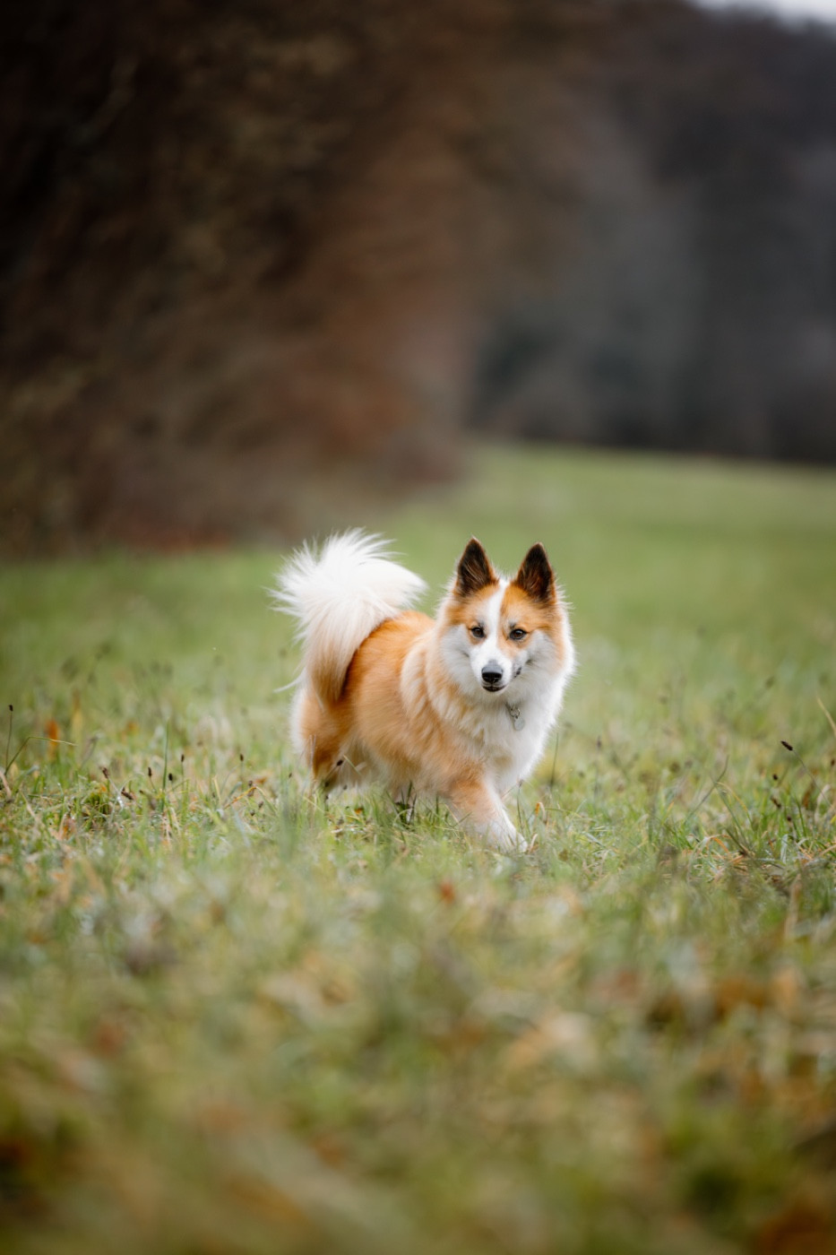 Talia Du Camp Raquet